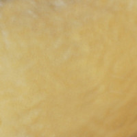 Мех искусственный, коротковорсовый  в Ростове-на-Дону