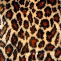 Мех искусственный, коротковорсовый  в Ростове-на-Дону