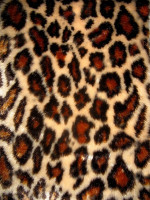 Мех искуственный, коротковорсовый, жаккардовый (Беларусь)